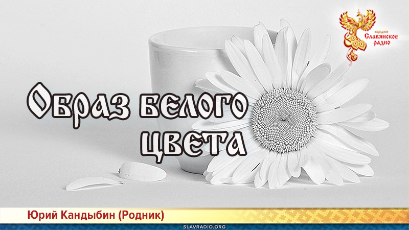 Образ белого цвета 