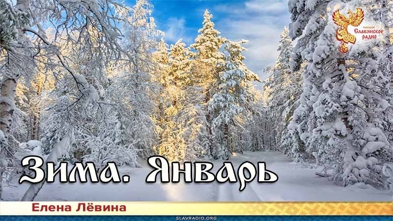 Зима. Январь