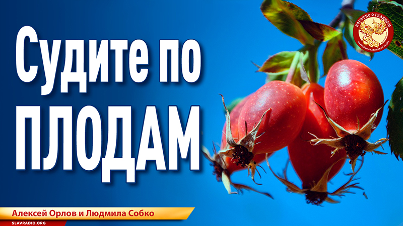 Судите по плодам