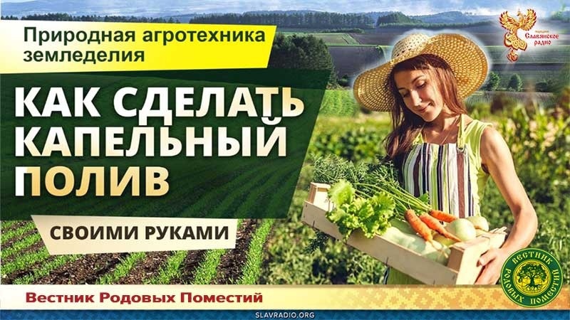 Капельный полив своими руками