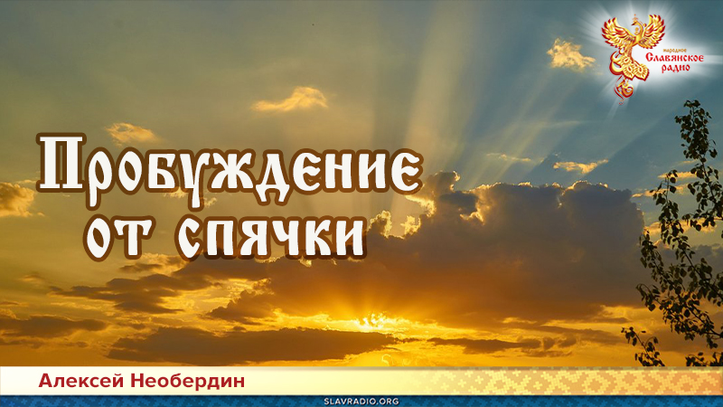 Пробуждение от спячки