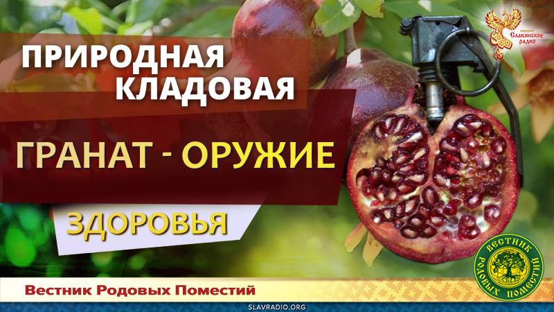 Гранат &mdash; оружие здоровья
