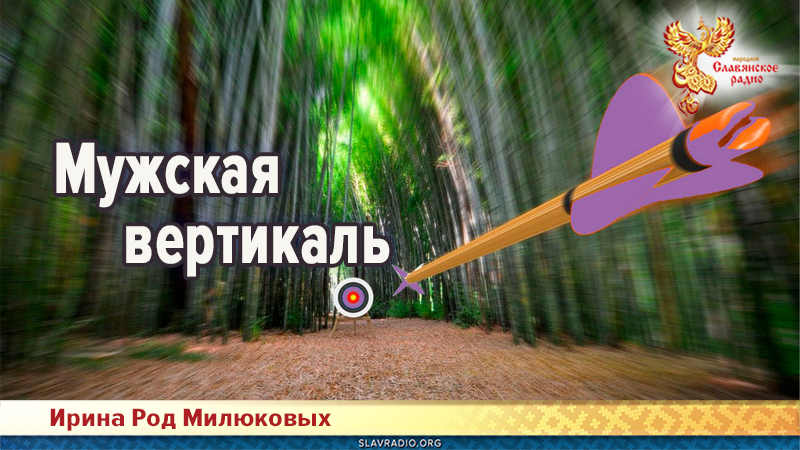 Мужская вертикаль