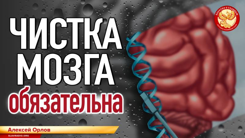 Чистка мозга обязательна