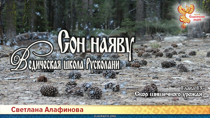 Ведическая школа Русколани. Сон наяву. Глава 13