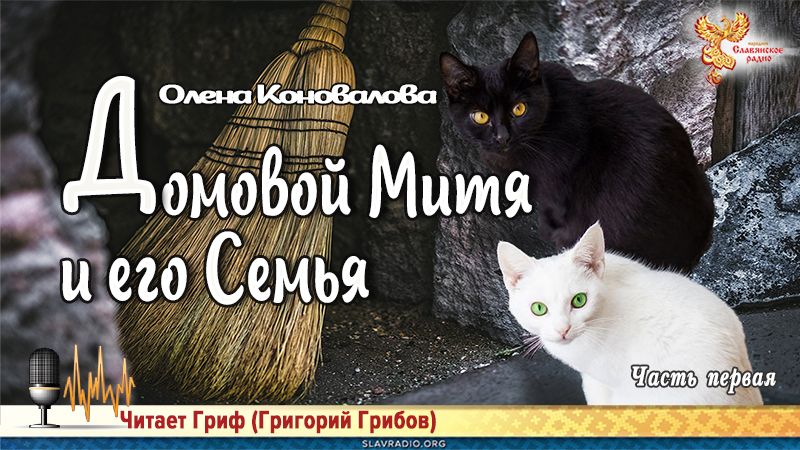 Домовой Митя и его Семья. Часть первая
