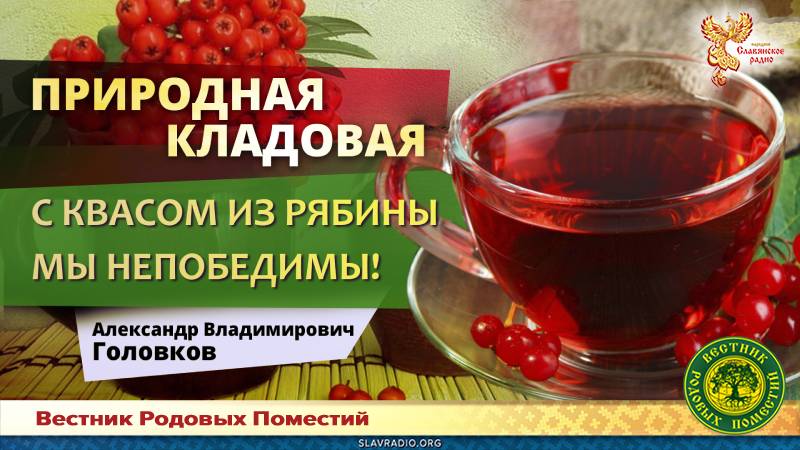 С квасом из рябины мы непобедимы