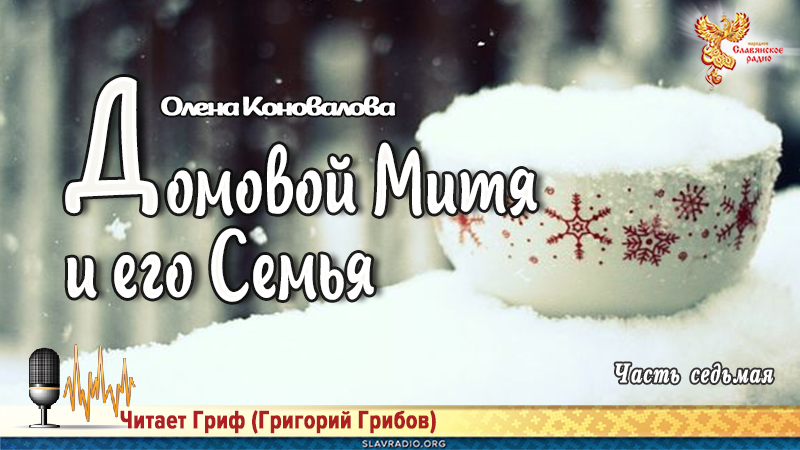 Домовой Митя и его Семья. Часть седьмая