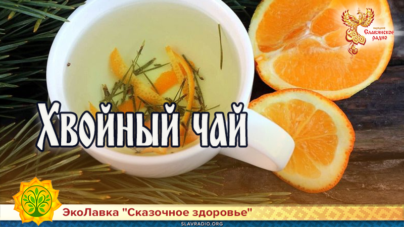 Хвойный чай 