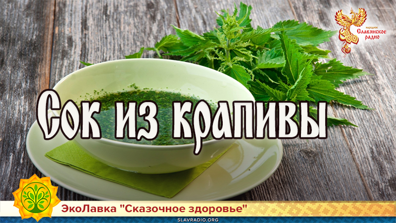 Сок из крапивы