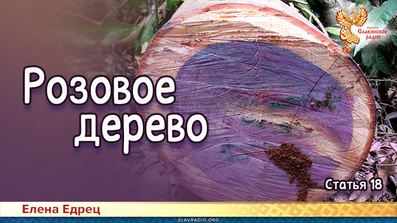 Розовое дерево
