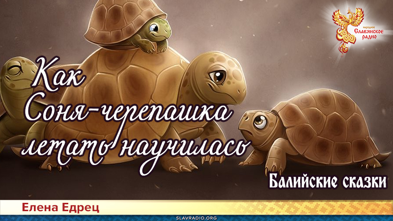 Балийские сказки: Как Соня-черепашка летать научилась