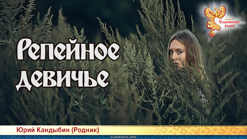 Репейное девичье 