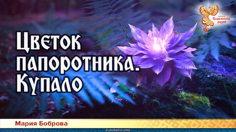 Цветок папоротника. Купало