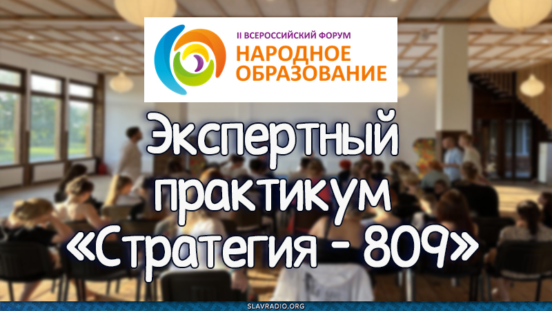 Экспертный практикум &laquo;Стратегия &ndash; 809&raquo;