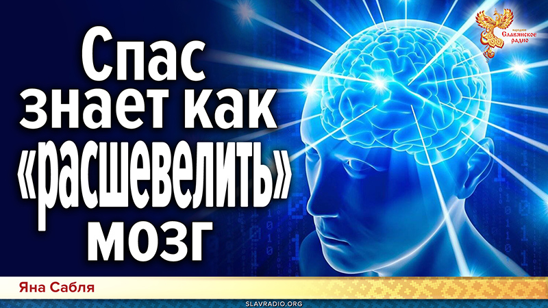 Спас знает как &laquo;расшевелить&raquo; мозг