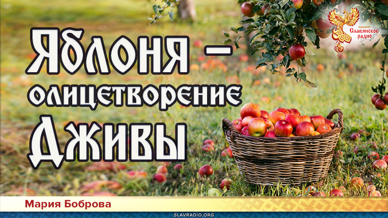 Яблоня &mdash; олицетворение Дживы