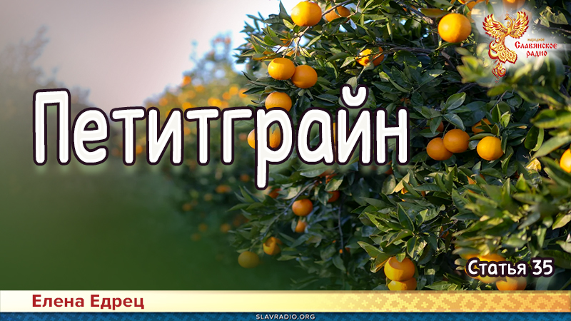 Петитграйн 
