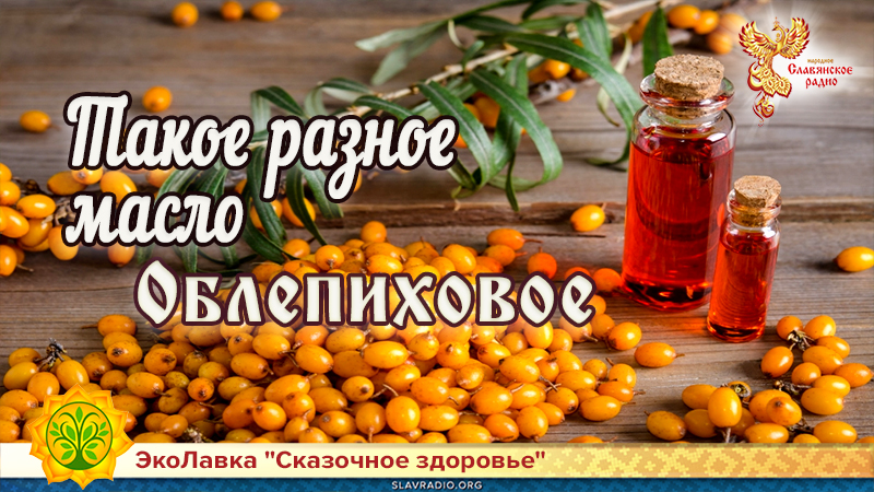 Такое разное масло. Облепиховое