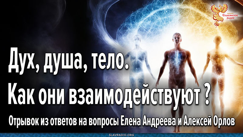 Как взаимодействуют Дух, Душа,Тело? 