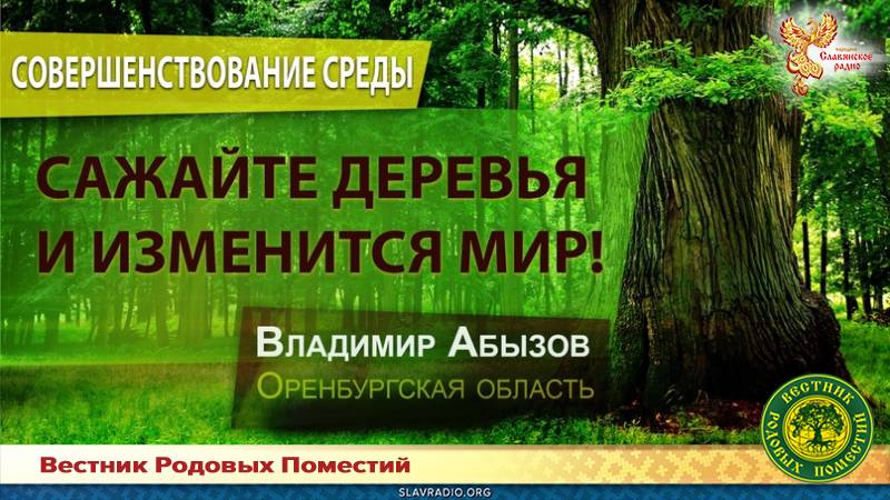 Сажайте деревья и изменится мир
