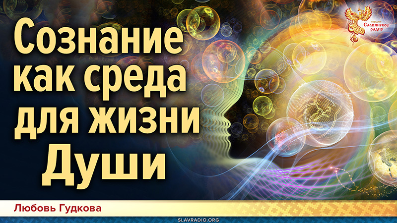 Сознание как среда для жизни Души