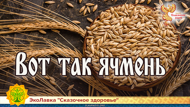 Вот так ячмень 