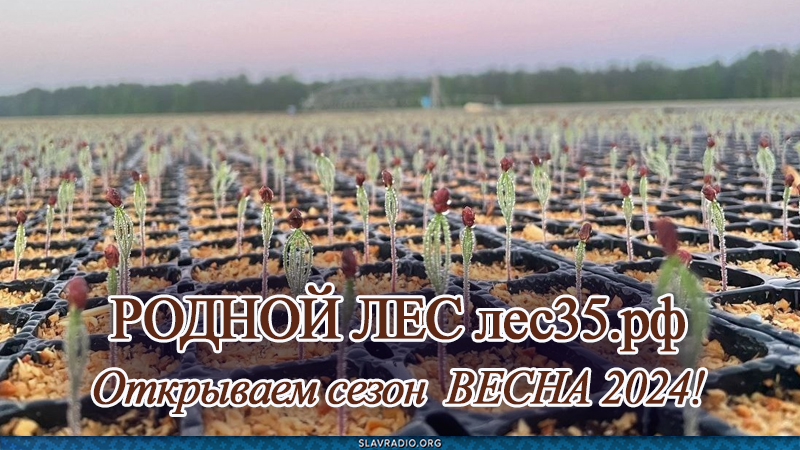 Родной лес. Открываем сезон ВЕСНА 2024!