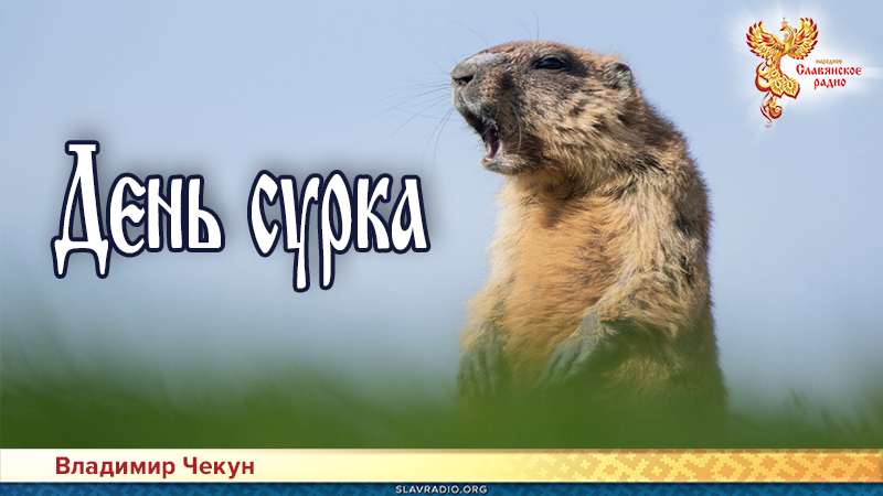День сурка