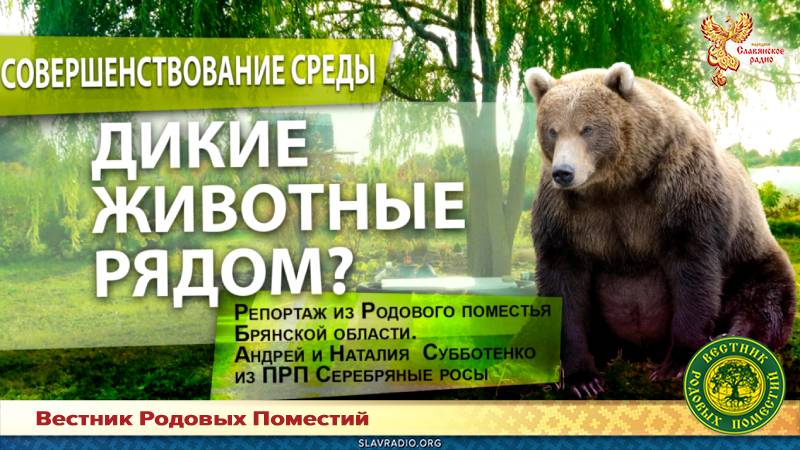 Дикие животные рядом!