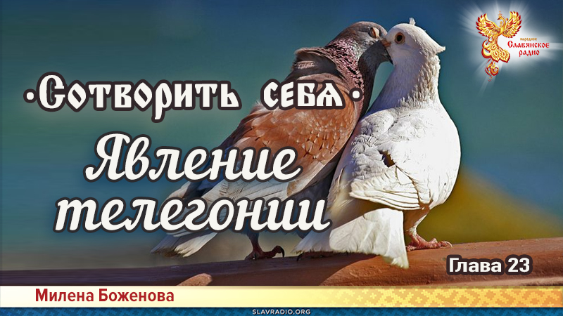 Сотворить себя. Глава двадцать третья
