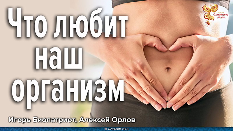 Что любит наш организм