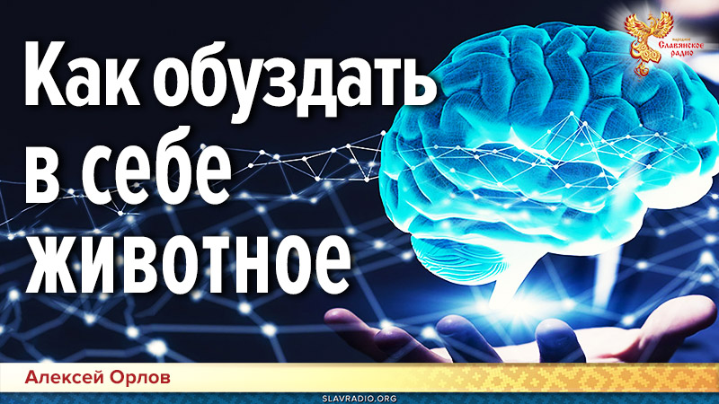 Как обуздать в себе животное // Интеллект человека