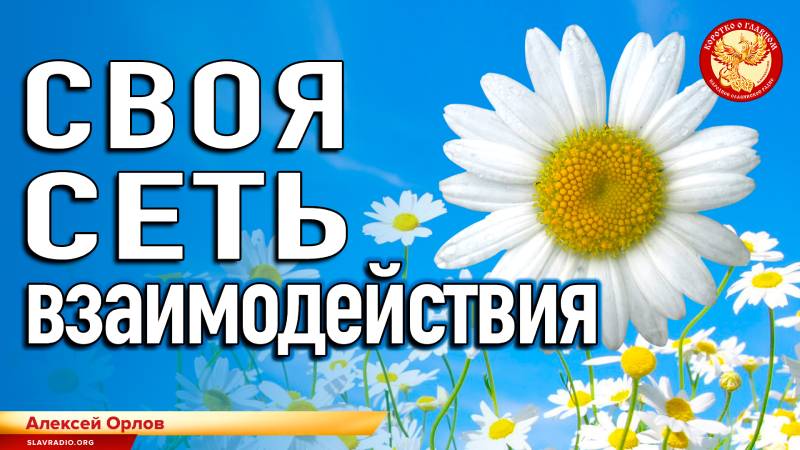 Своя сеть взаимодействия