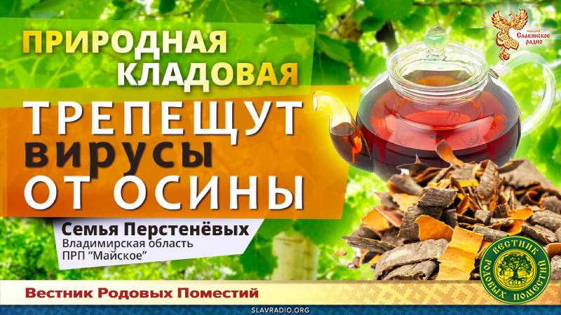 Трепещут вирусы от осины