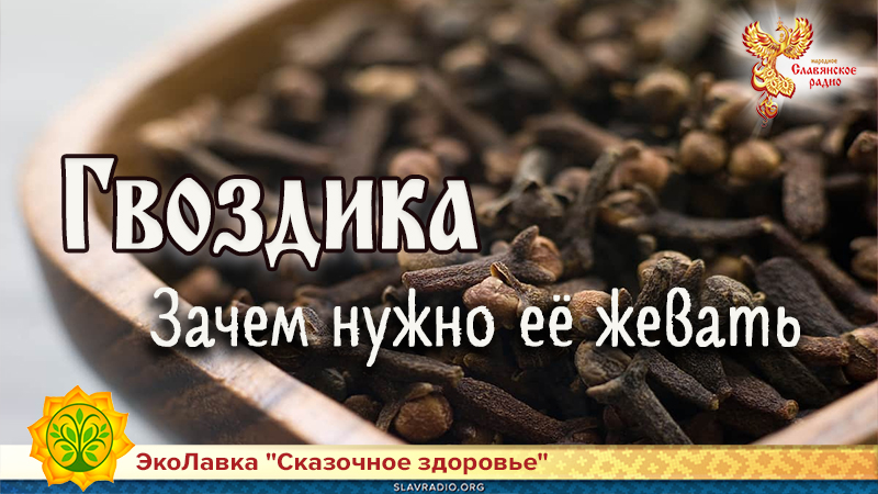 Гвоздика. Зачем нужно её жевать 