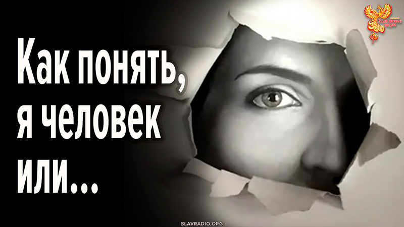 Как понять, я человек или&hellip;?