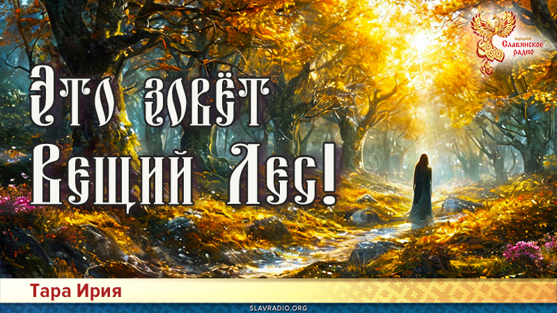 Это зовёт Вещий Лес!