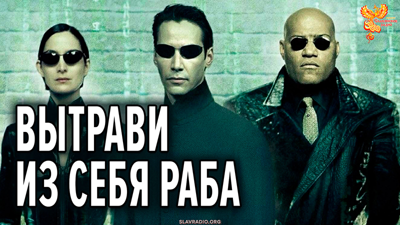 Вытрави из себя раба!