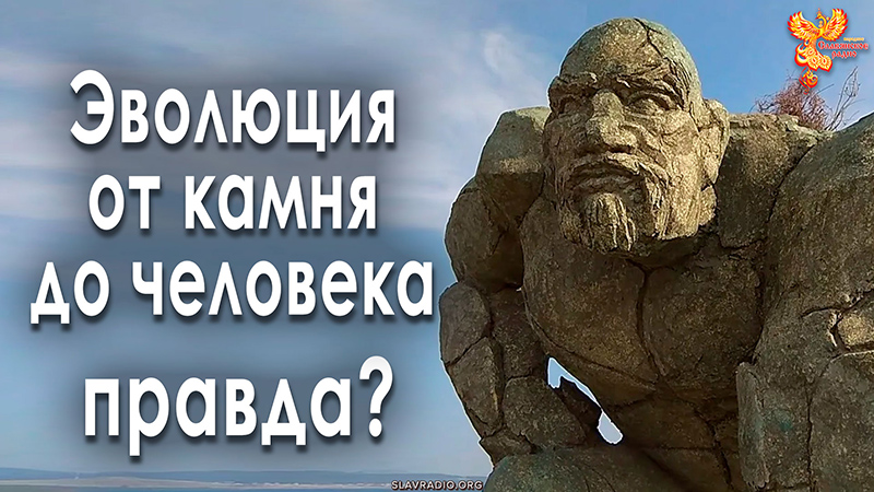 Эволюция от камня до человека &mdash; правда?