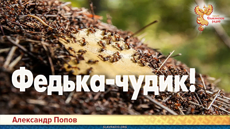Федька &ndash; чудик