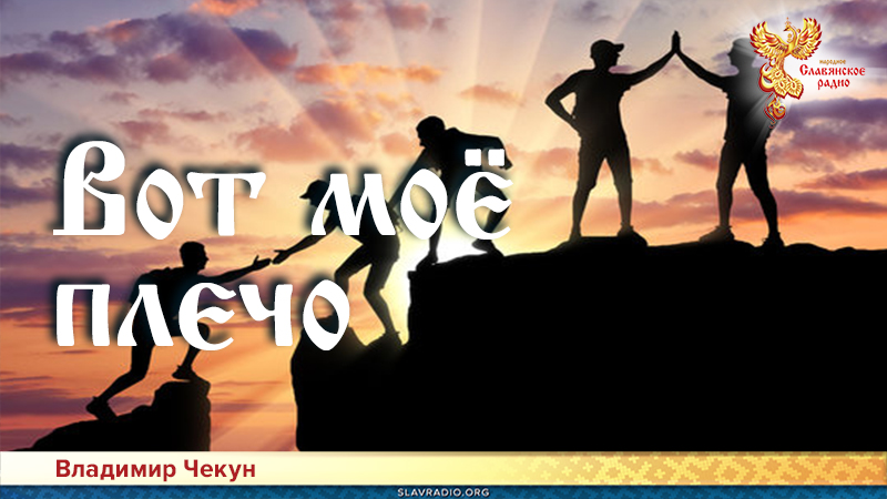 Вот моё плечо