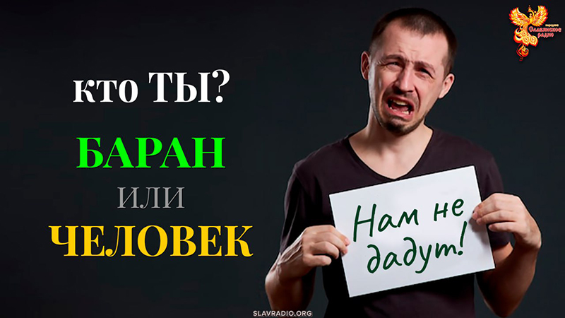 Кто ты? Баран или Человек?