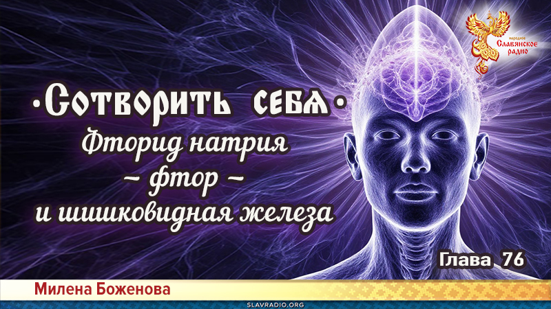 Сотворить себя. Глава семьдесят шестая
