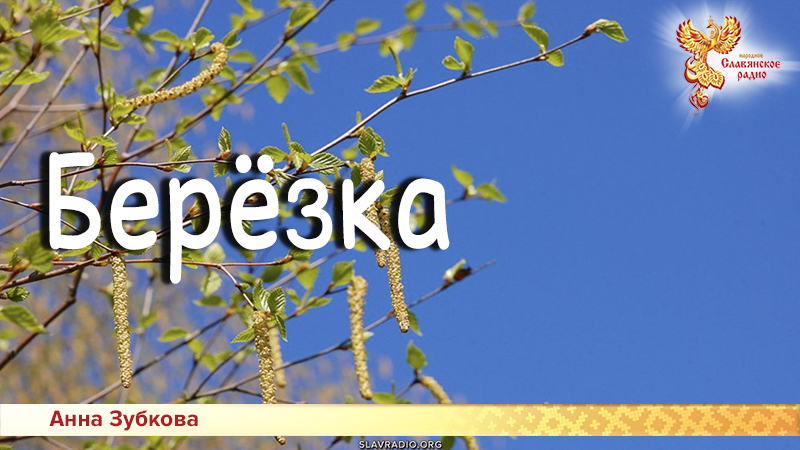 Песни для детей: Берёзка