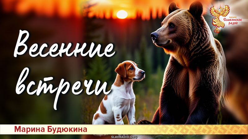 Весенние встречи
