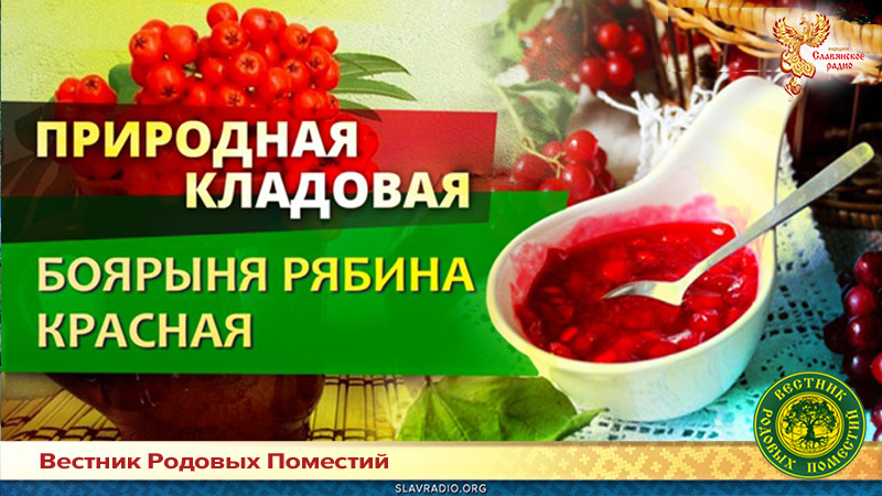 Боярыня рябина красная