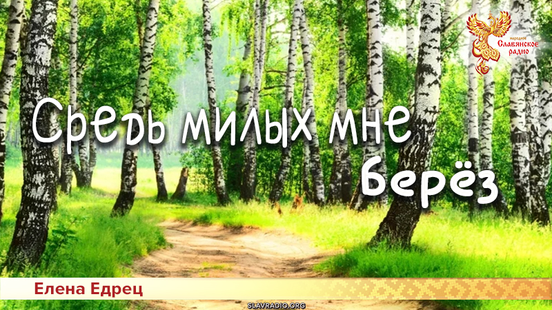 Средь милых мне берёз