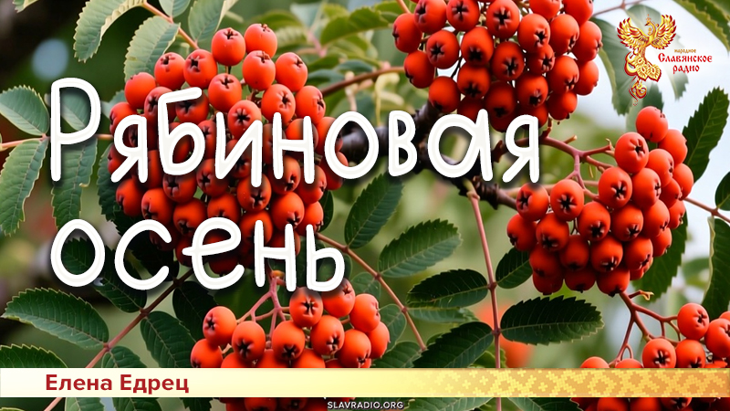 Рябиновая осень