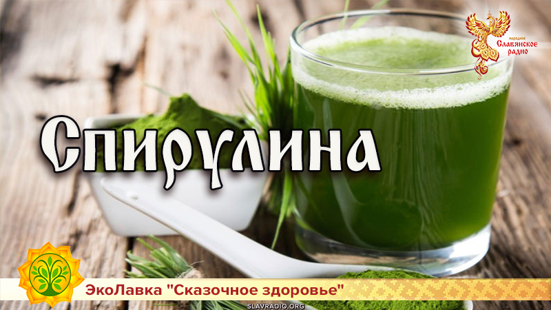 Спирулина